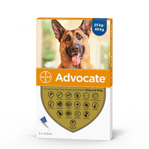 Advocate Extra-Large Dog 25kg-40kg: 1 Pipette of Ultimate Defense