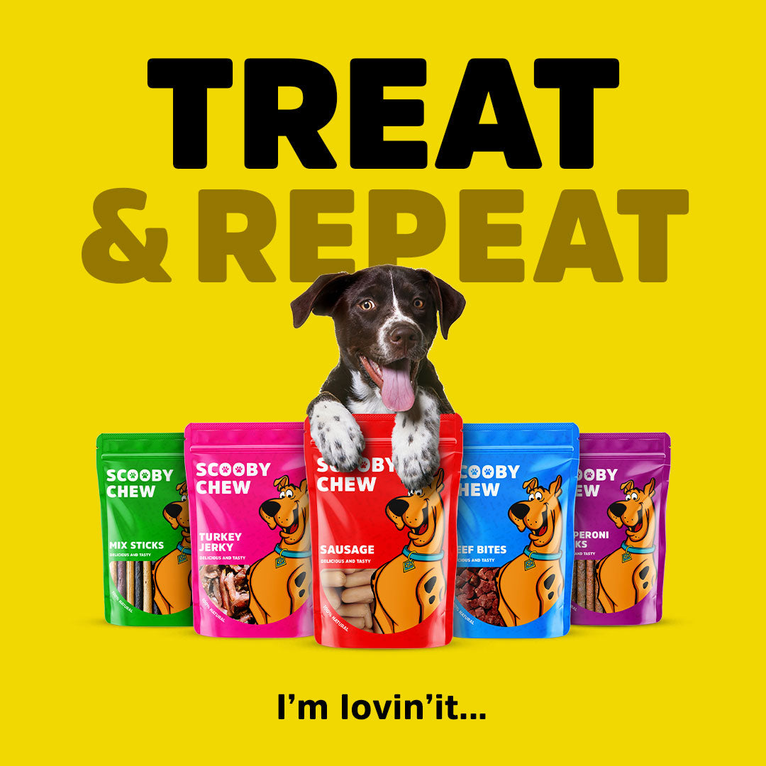 Scooby Chew Beef Jerky | Dog Treats 120g