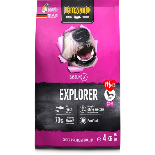 Belcando Baseline Explorer Adult Dogs 4kg