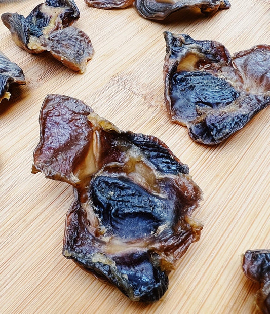 Nooshi's Nibbles Chicken Gizzards 100GM