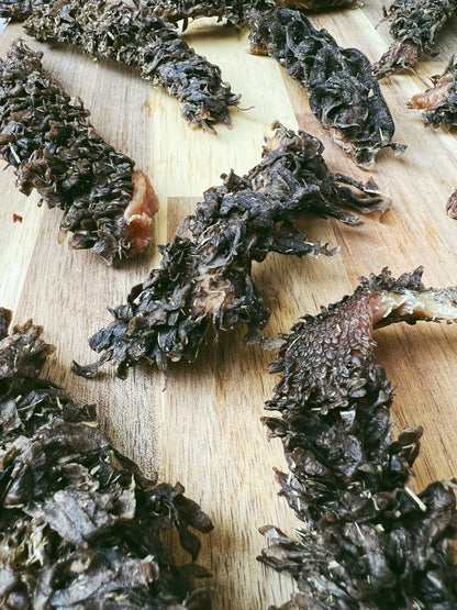 Nooshi's Nibbles Beef Green Tripe 75GM
