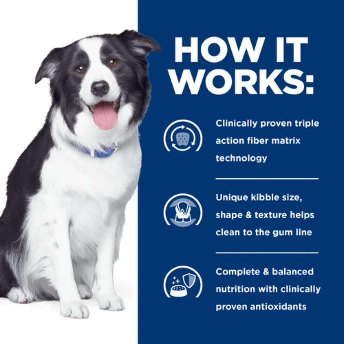 Hill's Prescription Diet t/d dog 4kg