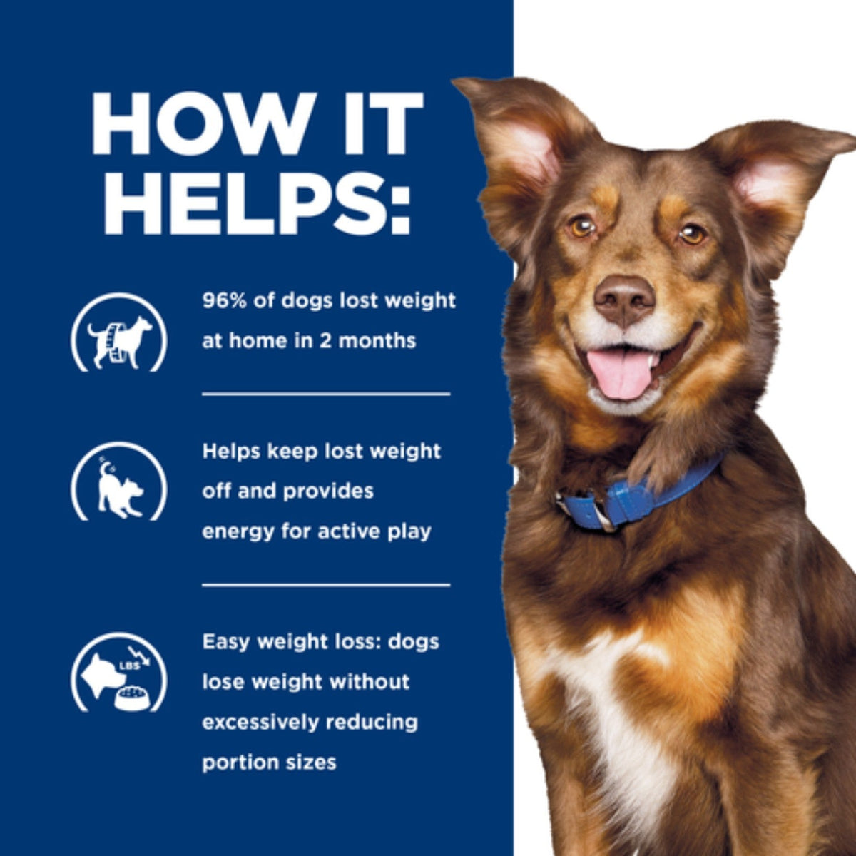 Hill's prescription Metabolic weight loss & maintenance 4kg