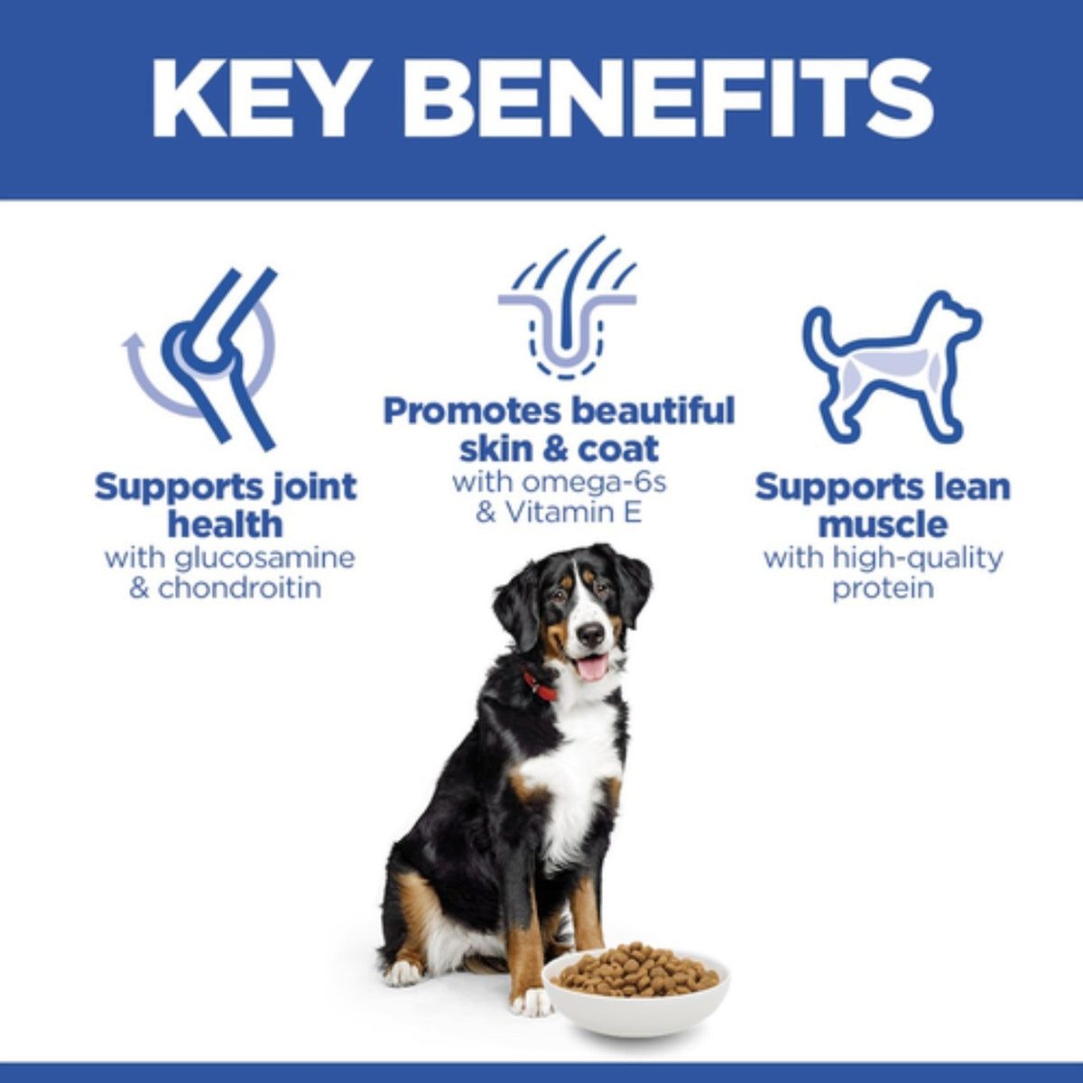 Hill's Science Plan Large breed adult dog food with chicken 14kg