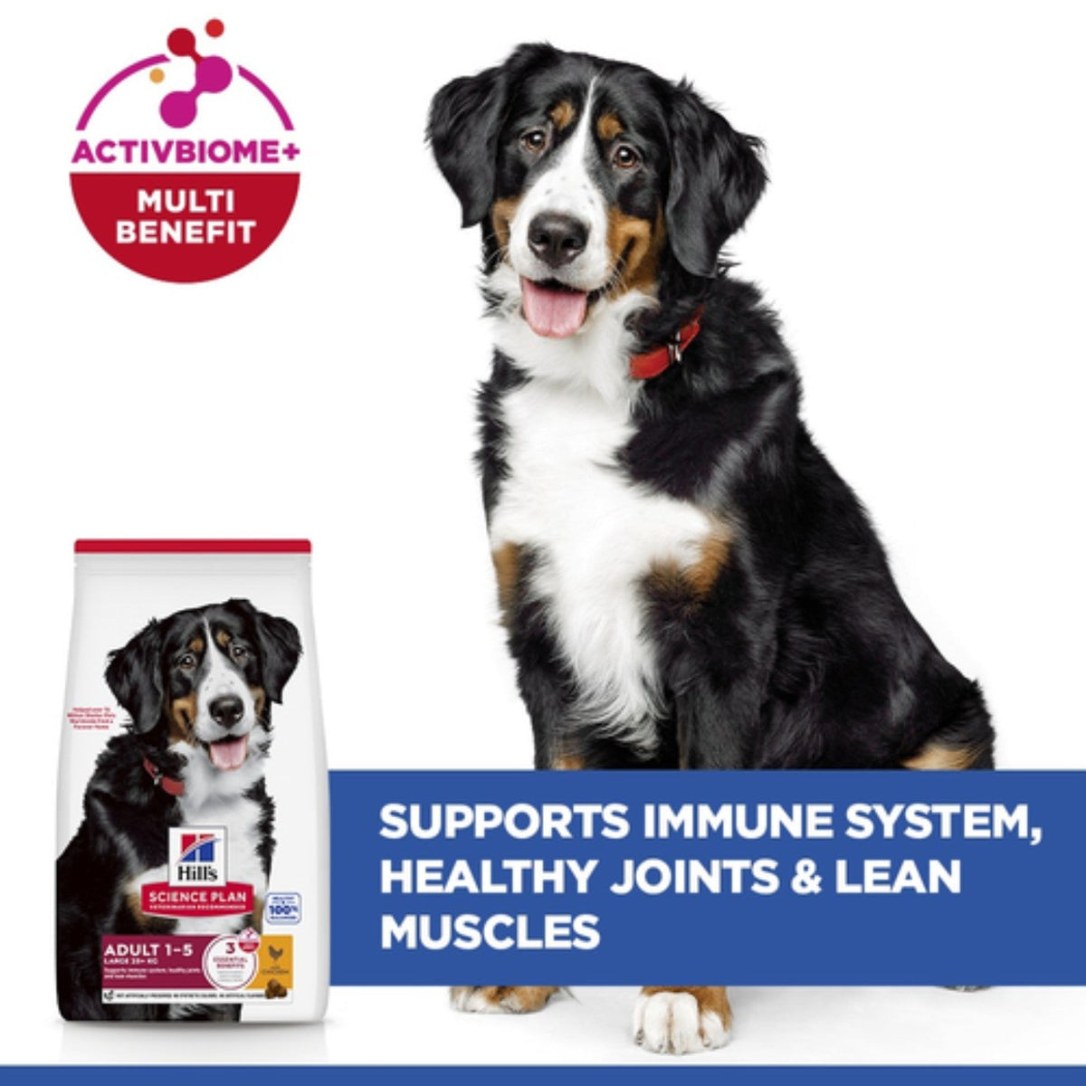 Hill's Science Plan Large breed adult dog food with chicken 14kg