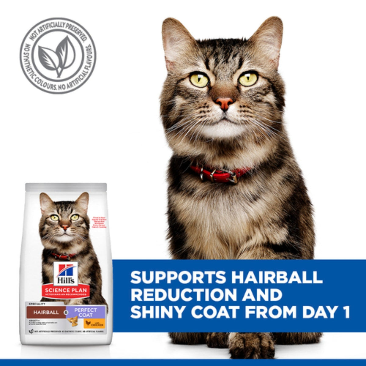 Hill's Science Plan Hairball & perfect coat adult cat food with chicken 1.5kg