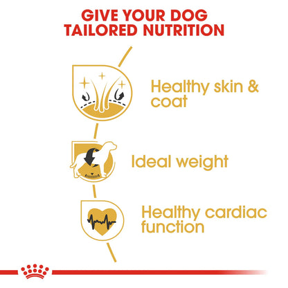 Royal Canin Cocker Adult (3 KG)