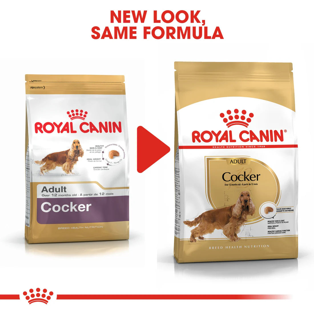 Royal Canin Cocker Adult (3 KG)