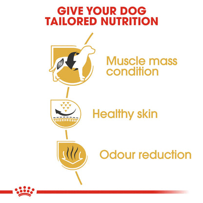 Royal Canin French Bulldog Adult (3 KG)