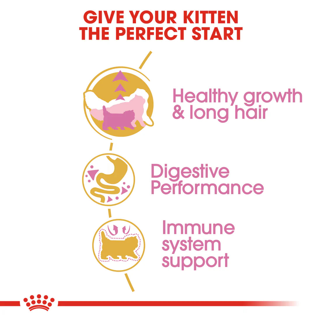 Royal Canin Persian Kitten (2KG)