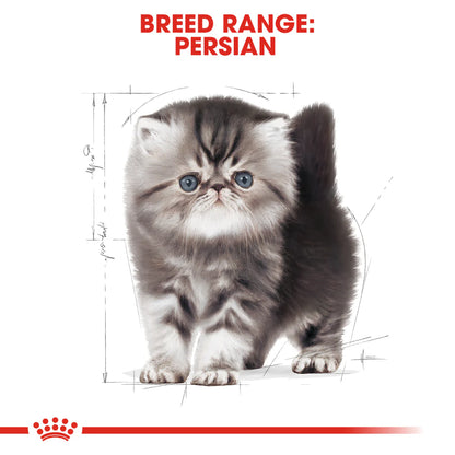 Royal Canin Persian Kitten (2KG)