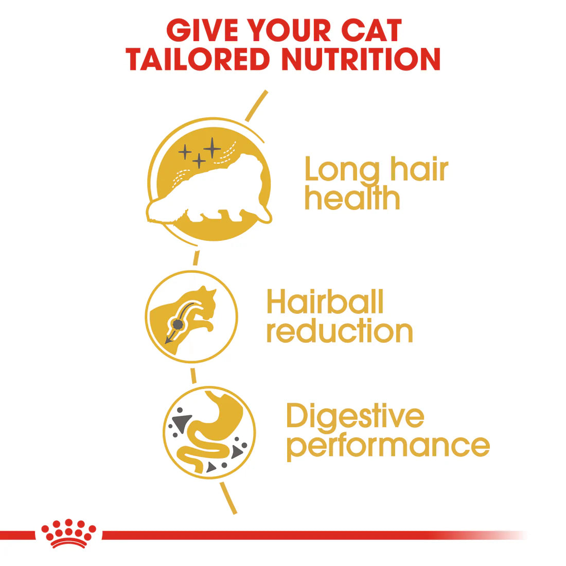 Royal Canin Persian Adult (10 KG)