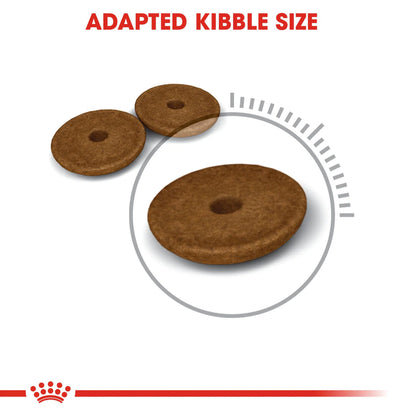 Royal Canin - Digestive Care (2 KG) Dry Food