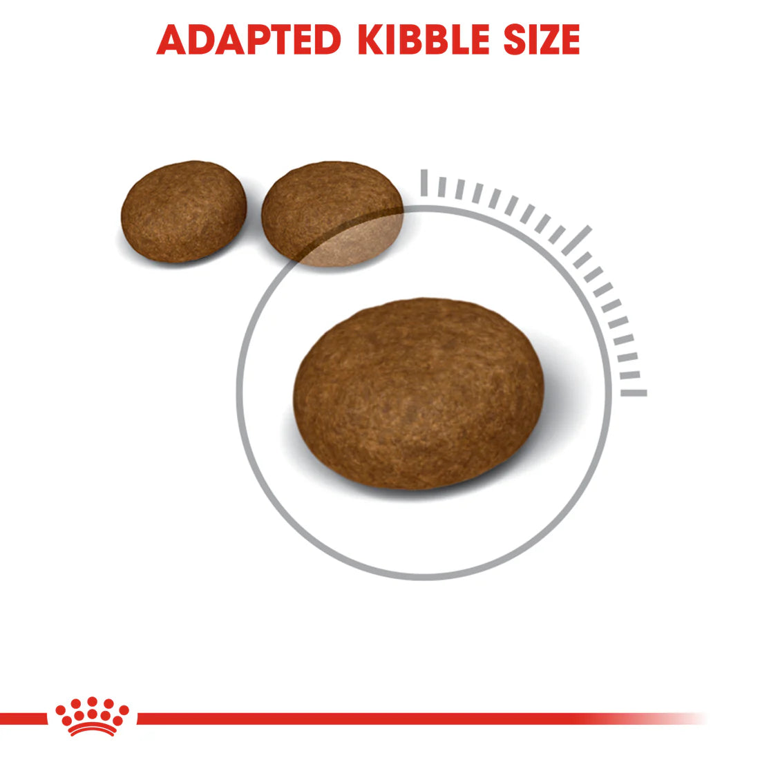 Royal Canin Hair & Skin Care (4KG) Dry food for adult cats