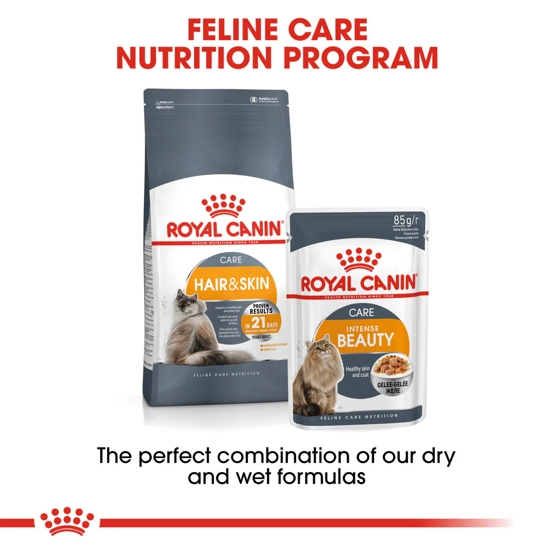 Royal Canin Hair & Skin Care (4KG) Dry food for adult cats