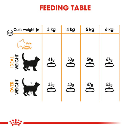 Royal Canin Hair & Skin Care (4KG) Dry food for adult cats
