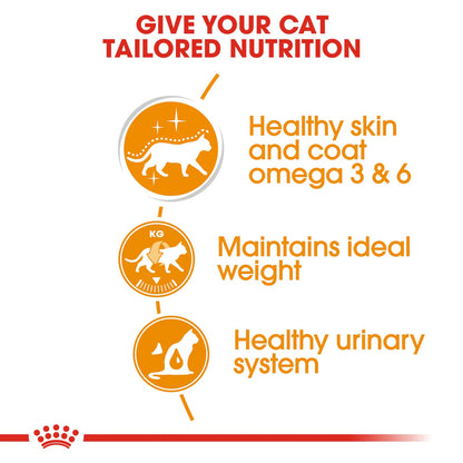 Royal Canin Intense Beauty in Jelly (85gm\Pouch)