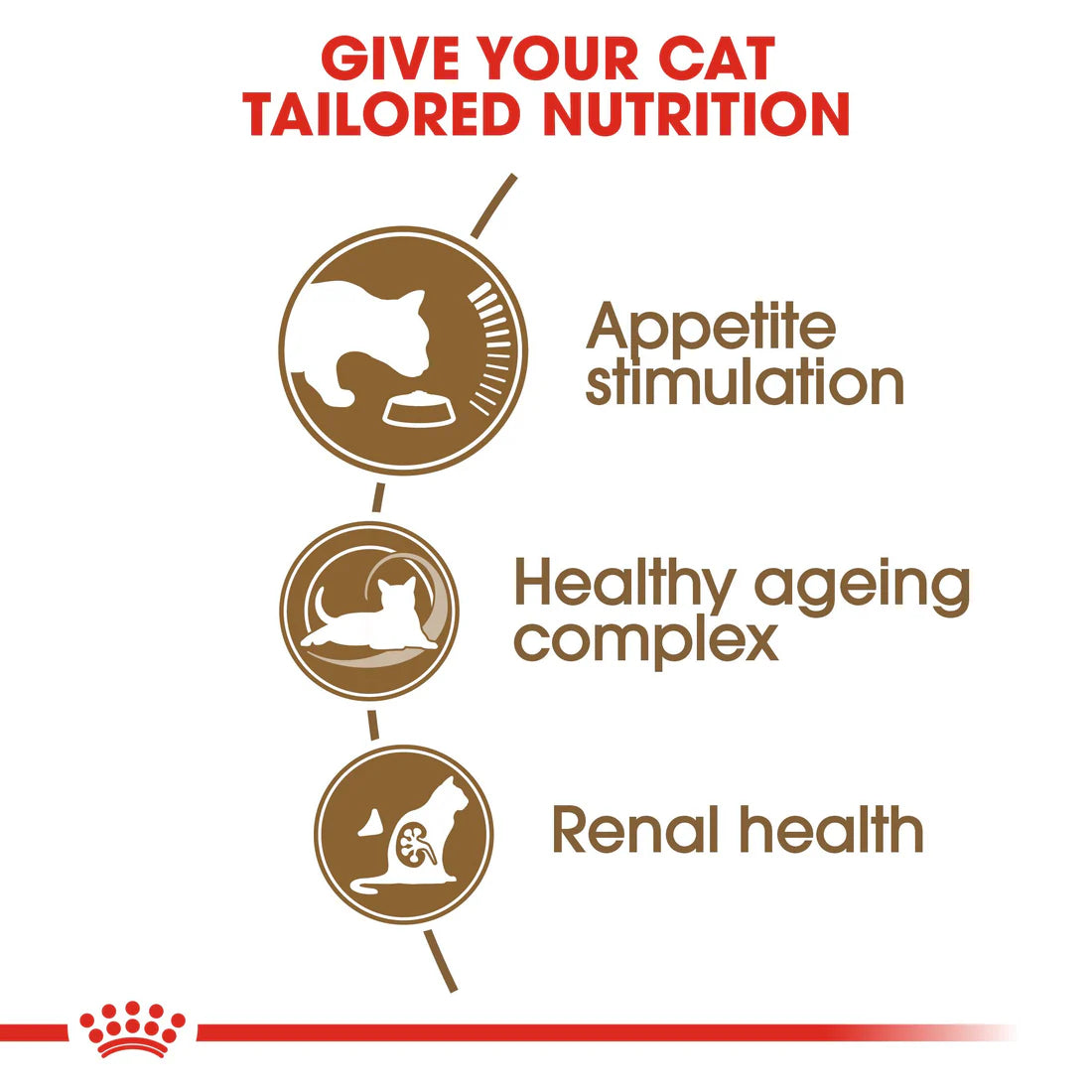 Royal Canin Ageing +12 (2KG)