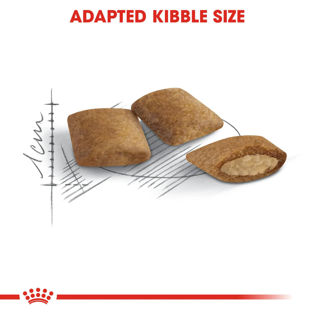 Royal Canin Ageing +12 (2KG)
