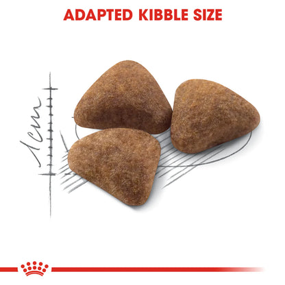 Royal Canin Indoor27 (10KG)
