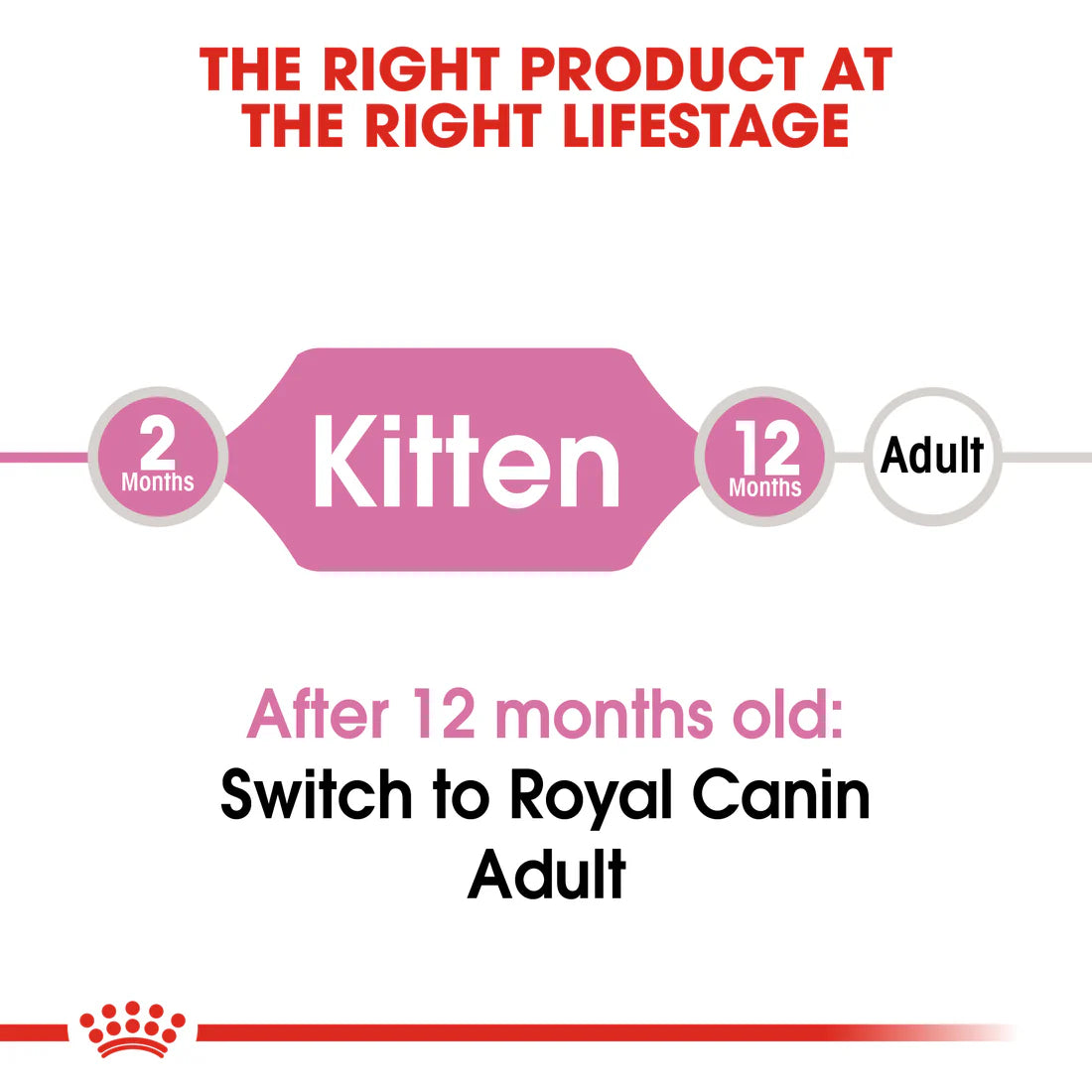 Royal Canin Kitten 10KG up to 12 months