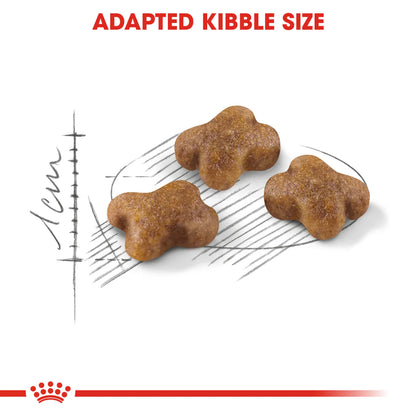 Royal Canin Kitten 10KG up to 12 months