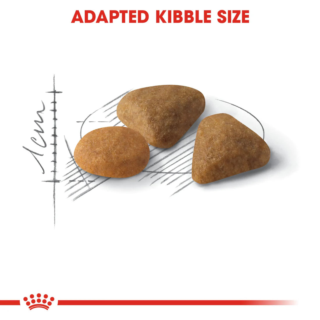 Royal Canin Exigent Savour (2KG)