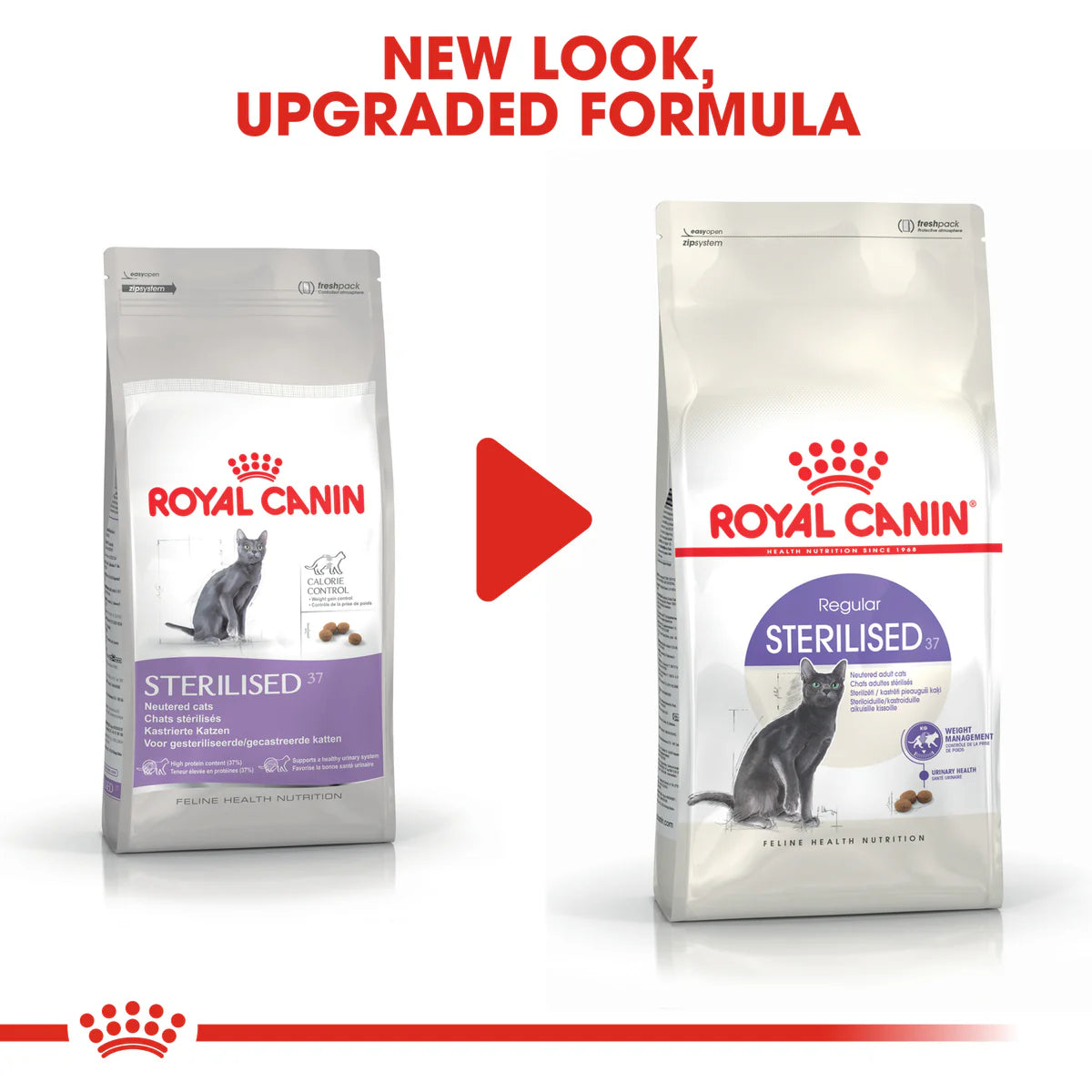 Royal Canin Sterilised 37 (2 KG)