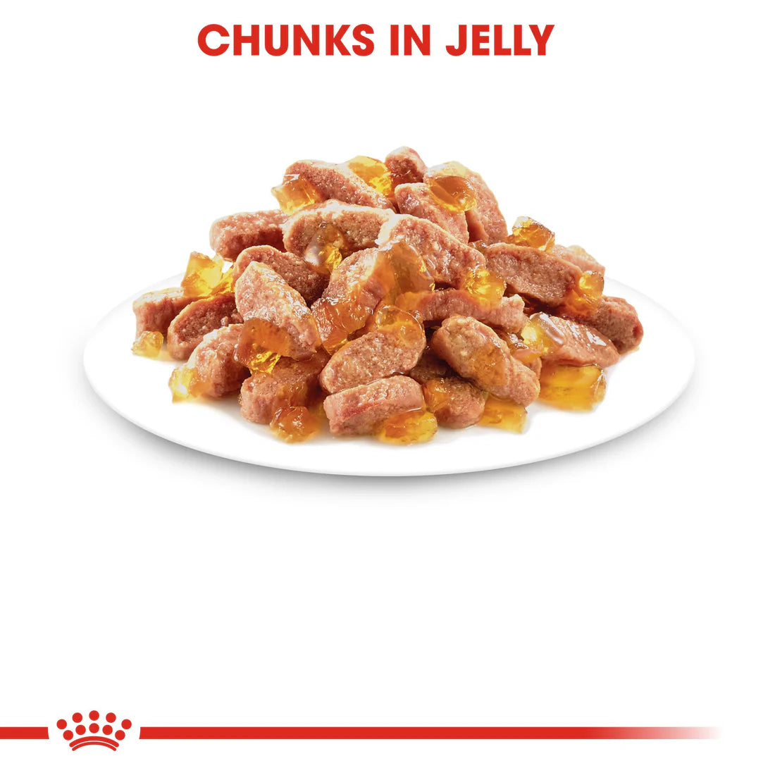 Royal Canin Kitten In Jelly (85gm\ Pouch)