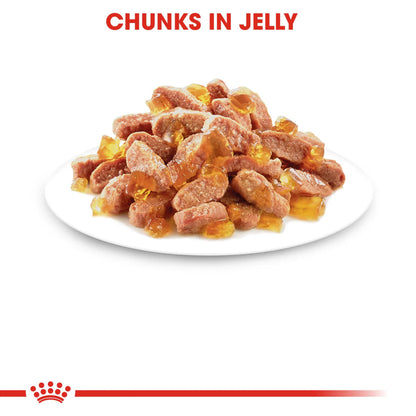 Royal Canin Kitten In Jelly (85gm\ Pouch)