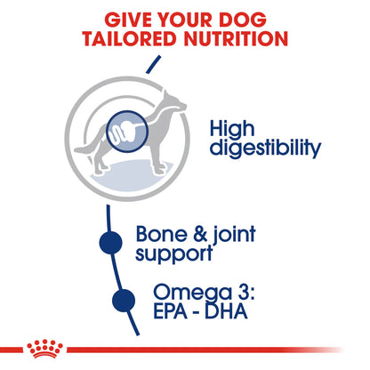Royal Canin Maxi Adult (4 KG)