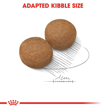 Royal Canin Maxi Adult (4 KG)