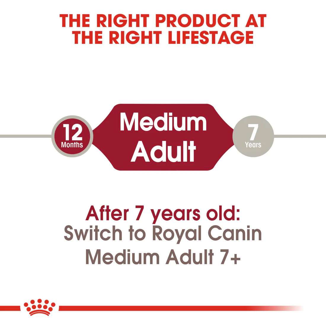 Royal Canin Medium Adult (4 KG)