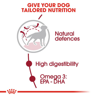 Royal Canin Medium Adult (15KG)