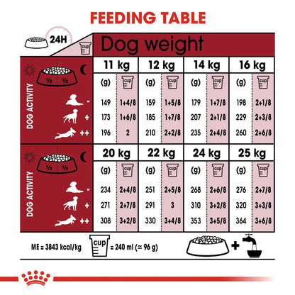 Royal Canin Medium Adult (15KG)