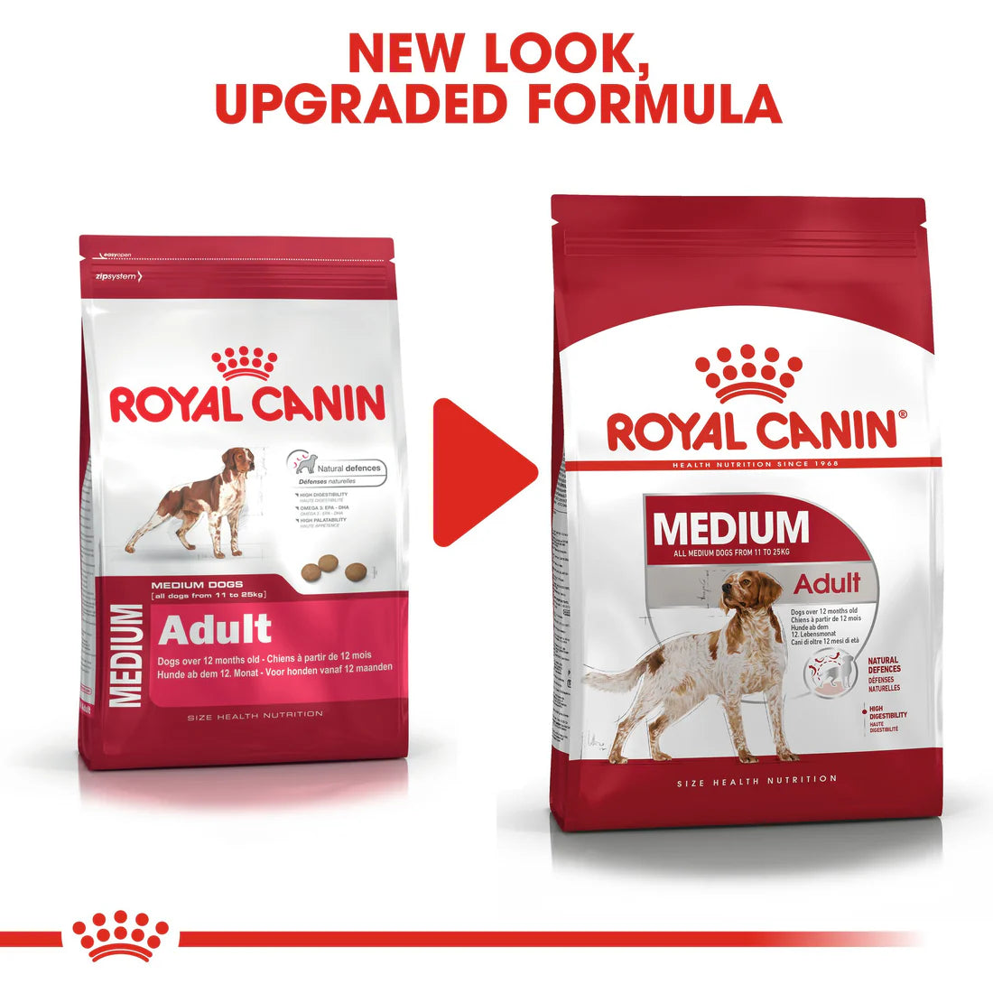 Royal Canin Medium Adult (4 KG)