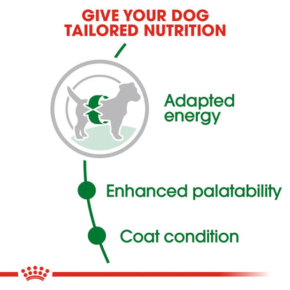 Royal Canin Mini Adult (2KG) - Dry food for small dogs up to 10 KG - form 10 months to 8 years