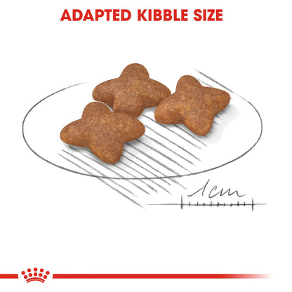 Royal Canin Mini Adult (2KG) - Dry food for small dogs up to 10 KG - form 10 months to 8 years