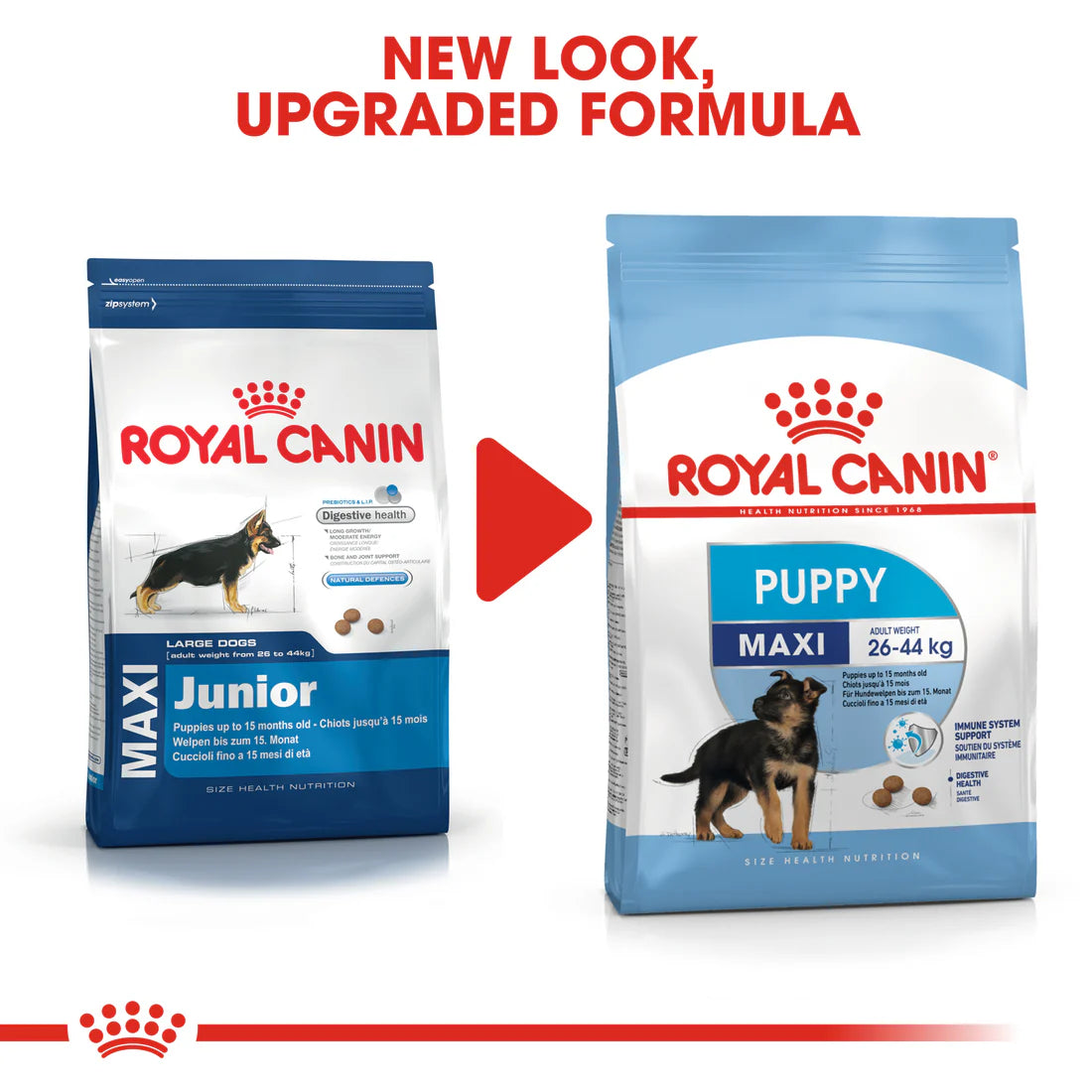 Royal Canin Maxi Puppy 16 KG