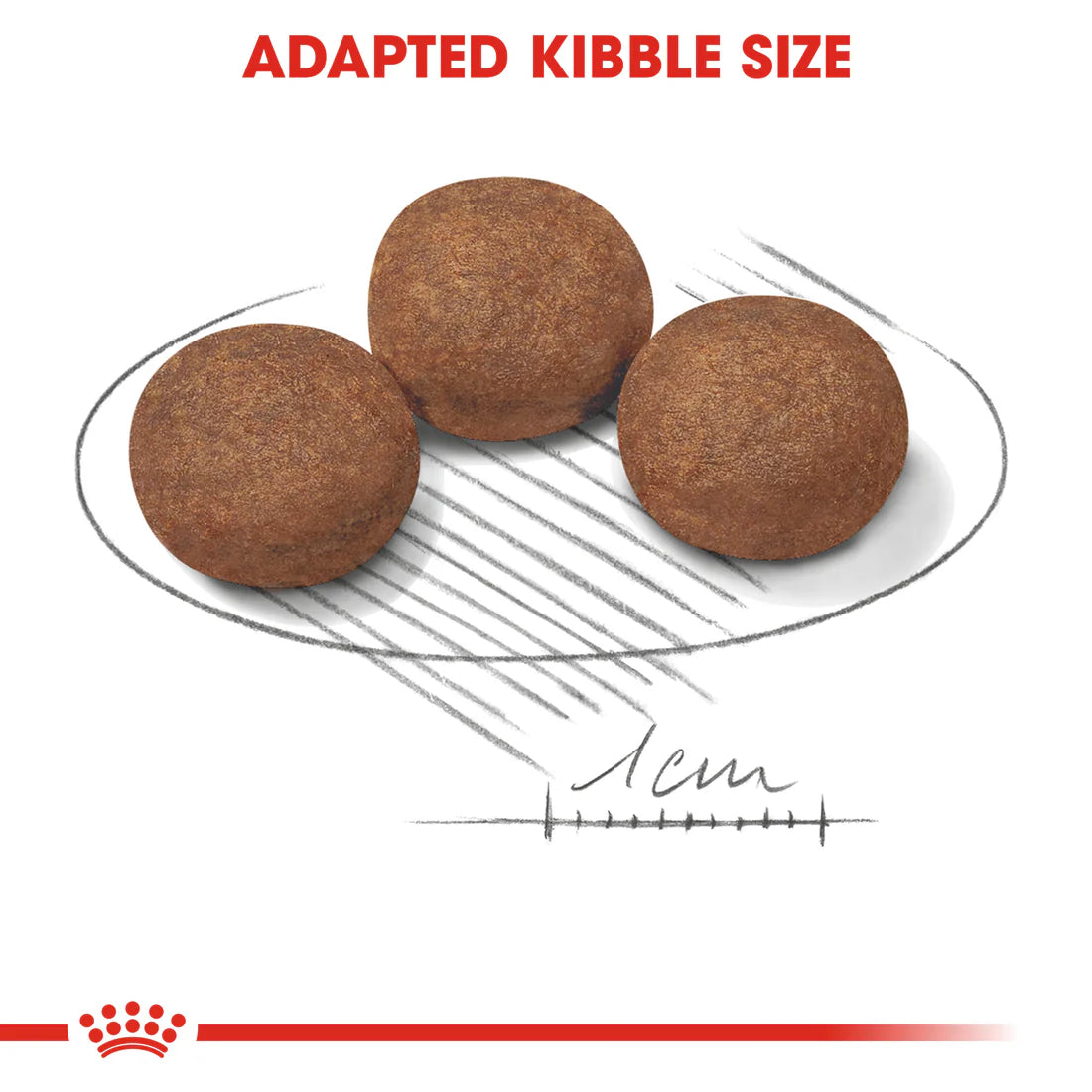Royal Canin Medium Puppy 15KG
