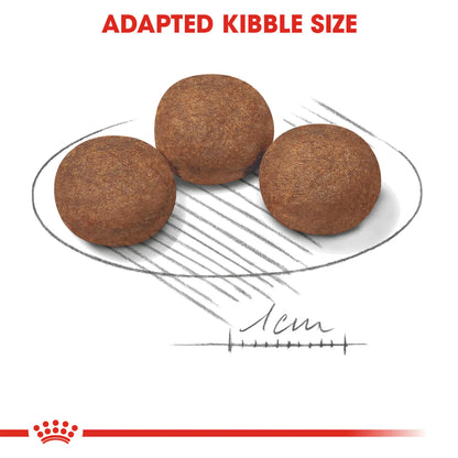 Royal Canin Medium Puppy (4 KG)