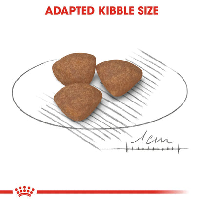 Royal Canin Mini Puppy 4KG