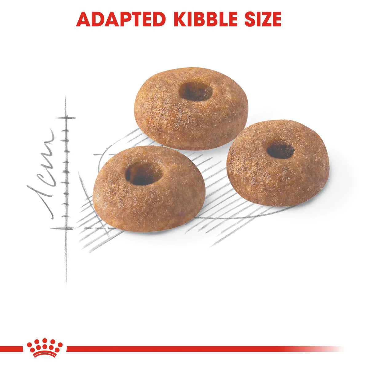 Royal Canin Fit 32 Dry food for cats 4kg
