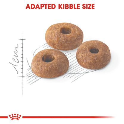 Royal Canin Fit 32 Dry food for cats 4kg