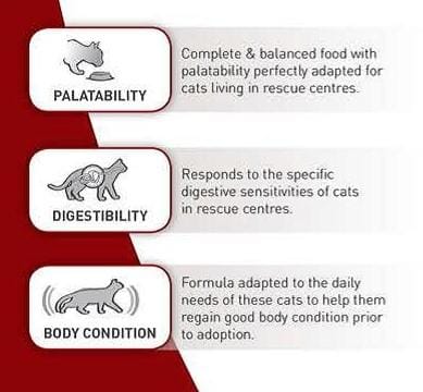 Royal Canin SC 365D (15 KG)