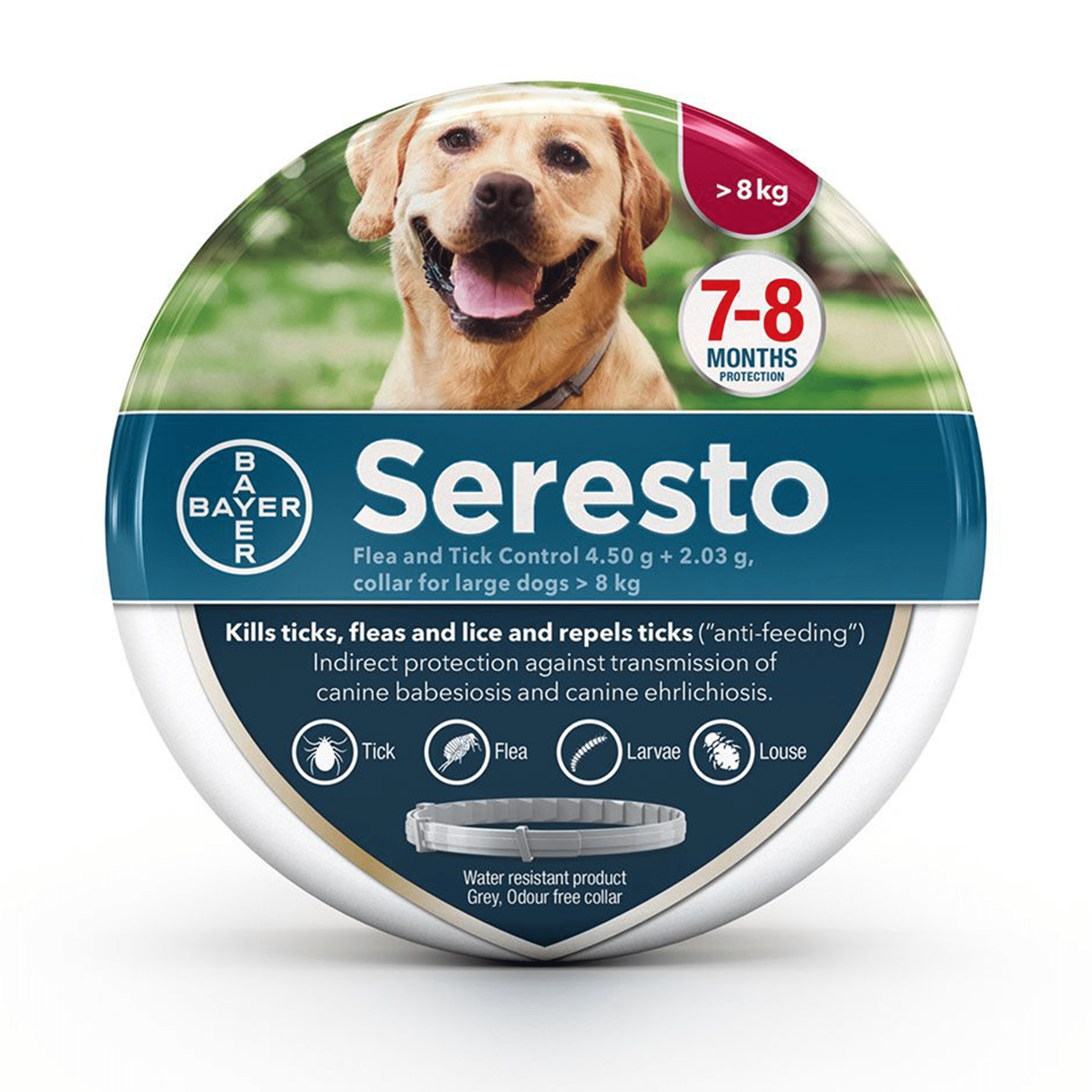 Seresto Dog Collar Flea & Tick Control | Dogs Over 8kg