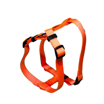 PERCELL Harness | Pets Lounge | Shop Now!