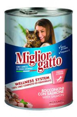 Miglior Gatto With Salmon 405g