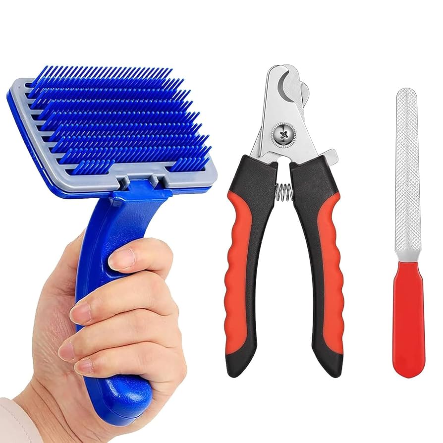 Cat Grooming