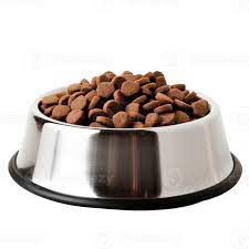 Cat Bowls & Feeders